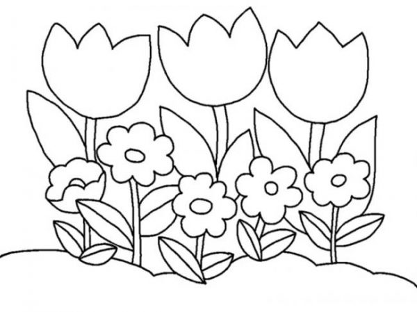 download-to-color-to-be